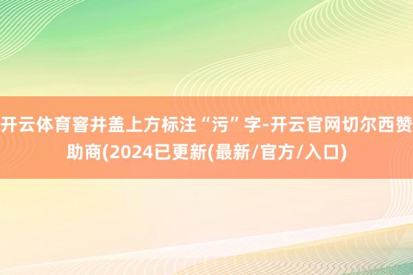 开云体育窨井盖上方标注“污”字-开云官网切尔西赞助商(2024已更新(最新/官方/入口)