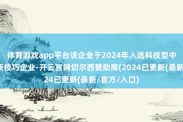 体育游戏app平台该企业于2024年入选科技型中小企业和高新技巧企业-开云官网切尔西赞助商(2024已更新(最新/官方/入口)